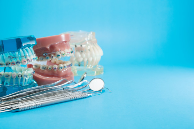 orthodontic model dentist tool